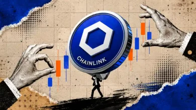 Chainlink Whales Now Control 46% of Total LINK Supply, Supply Squeeze Coming