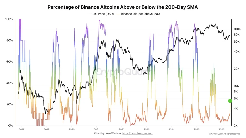 Binance Altcoins Show Strong Improvement