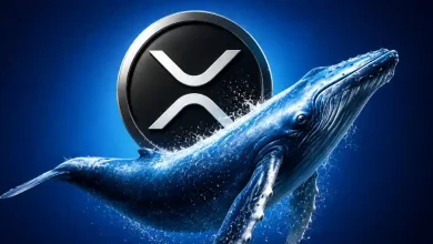 A large blue humpback whale jumping out of water in front of a silver Ripple (XRP) logo against a dark blue background.