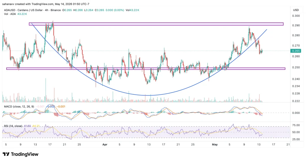 cardano price