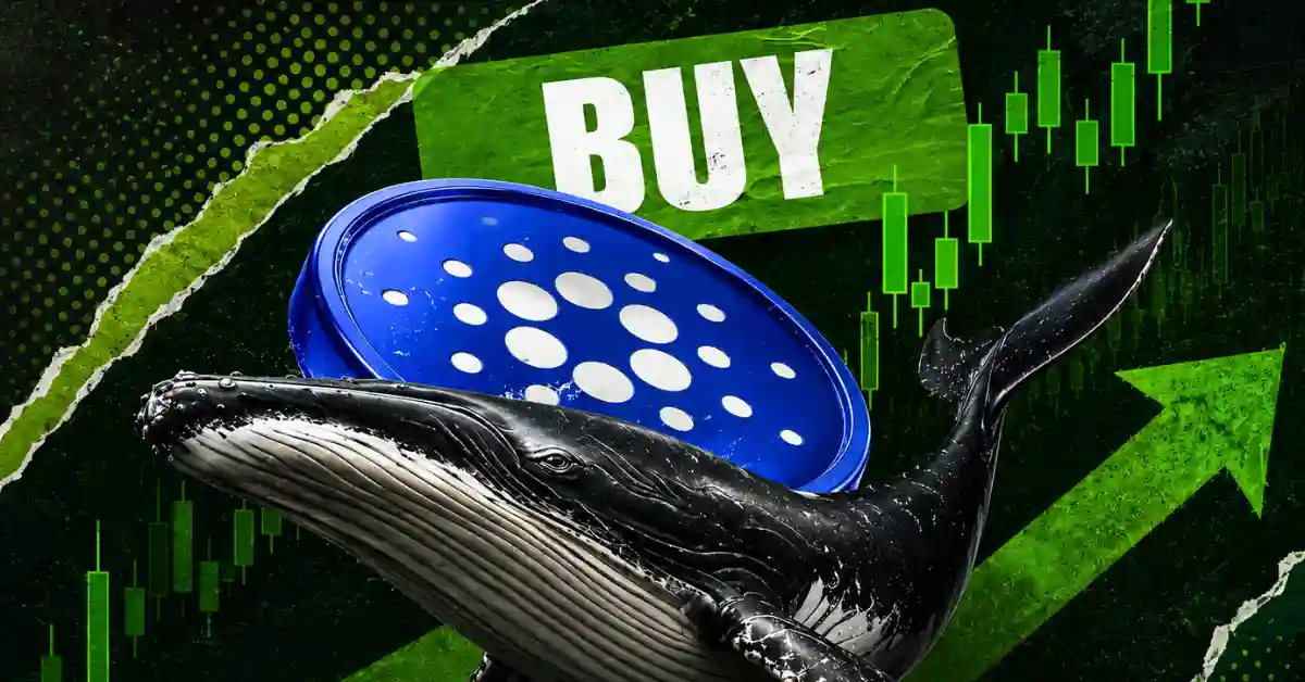 Cardano Price Prediction 2026: Whale Buying and Bullish Signals Fuel Rally Hopes