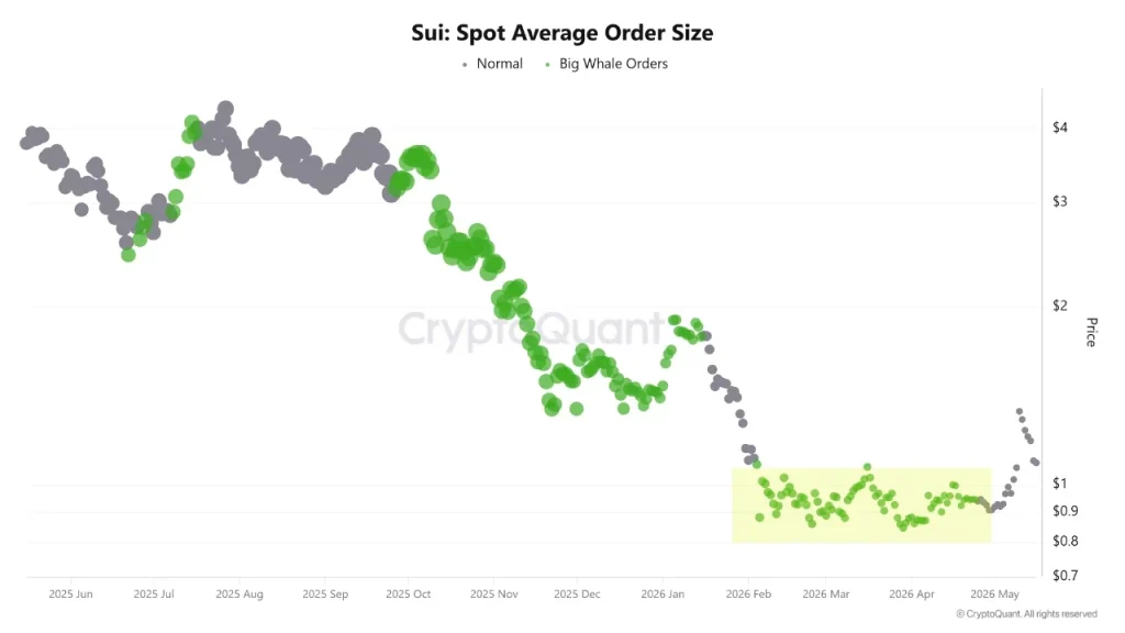 SUI Network sees strong whale accumulation as gasless transfers and ecosystem growth fuel bullish momentum.
