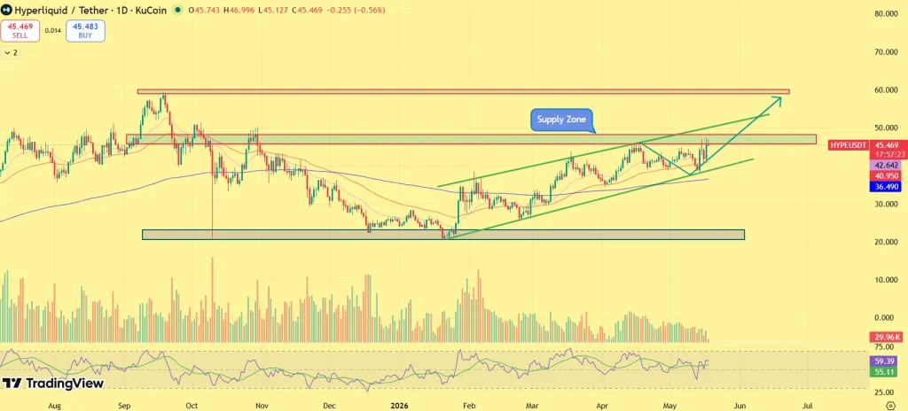 Hype price prediction