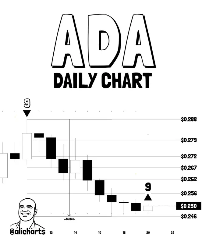 Cardano buy signal