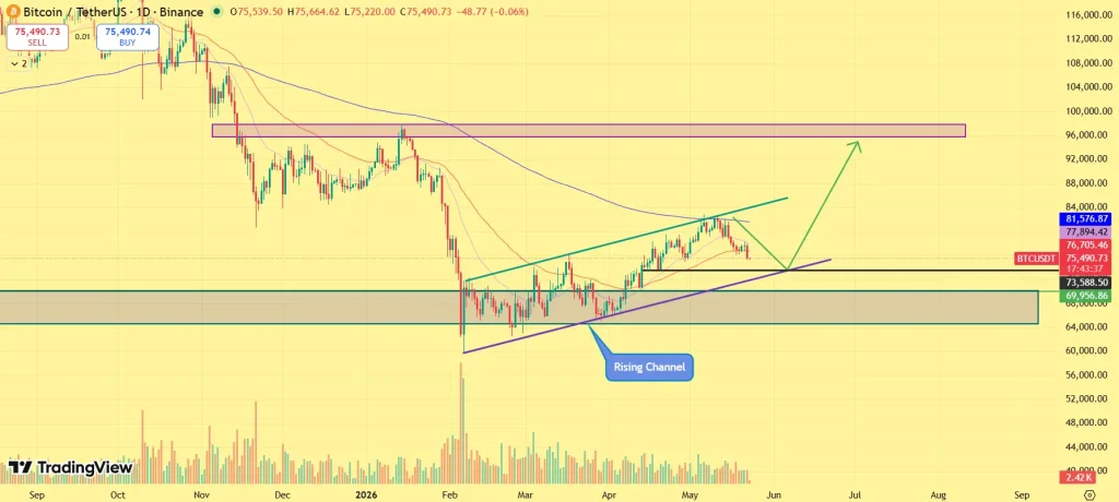 Bitcoin Price Crash