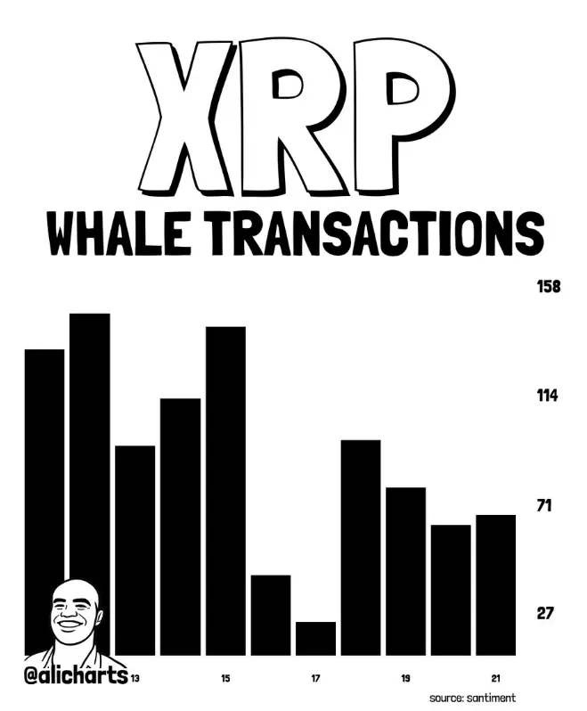 XRP whales data