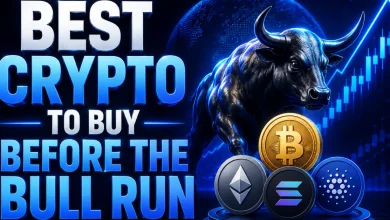 crypto-before-bull-run