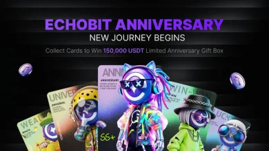 echobit-anniversary