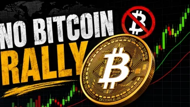 Golden Bitcoin coin on a dark background with bold "NO BITCOIN RALLY" text, a market chart, and a red prohibition sign over a crypto logo.