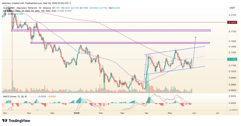 algo price
