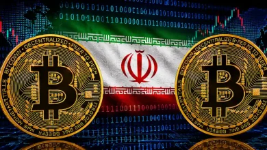 Two large golden Bitcoin coins flanking a textured flag of Iran over a background of digital binary code and market charts.
