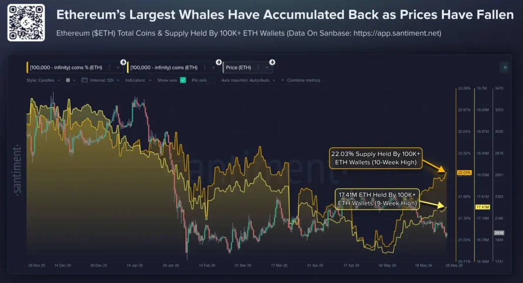 ETH whales data