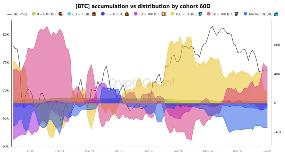 BTC on-chain data