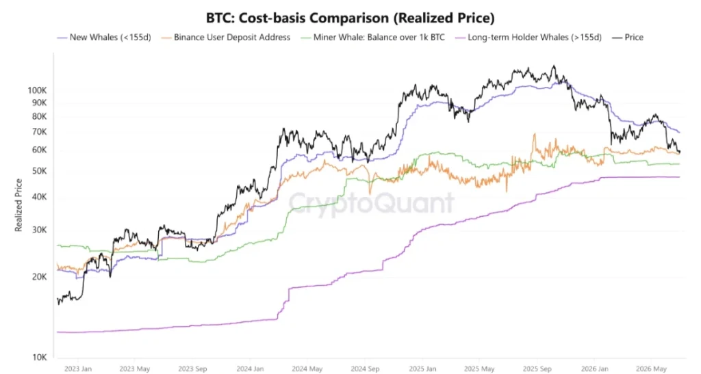 BTC on-chain data