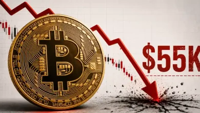 A large gold Bitcoin coin next to a sharp red downward arrow crashing into the ground with a $55K text mark.A large gold Bitcoin coin next to a sharp red downward arrow crashing into the ground with a $55K text mark.