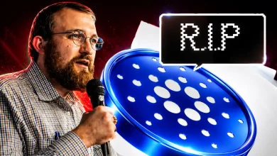 Charles Hoskinson speaking into a microphone next to a Cardano coin and a pixelated R.I.P sign.