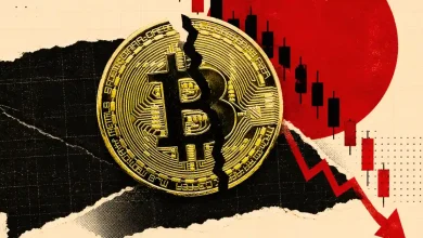 A gold Bitcoin token in front of a falling red market chart with a prominent 65% label.