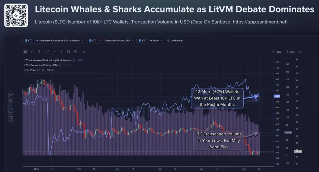 Litecoin whales data