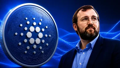 Charles Hoskinson Says Cardano Must Move Beyond Crypto to Survive