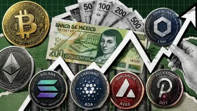 Altcoins Aren’t Dead, But the Easy Money Era Is Over CryptoQuant