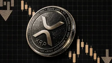 XRP To Hit $100 in 6 Months Here’s Three Catalysts