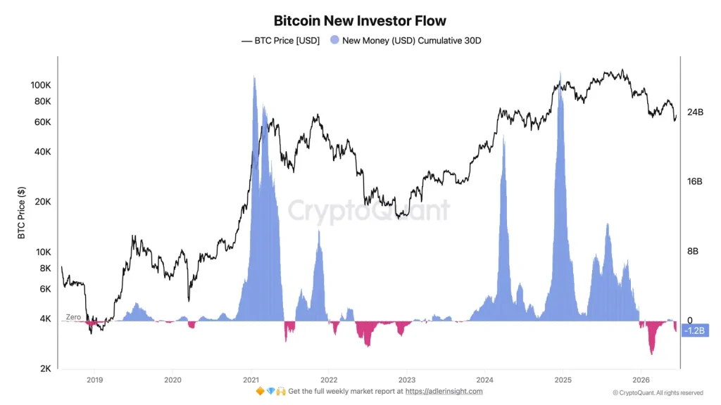 Bitcoin new investor flow