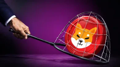 A Shiba Inu SHIB logo adjacent to a steep, downward-trending red chart.