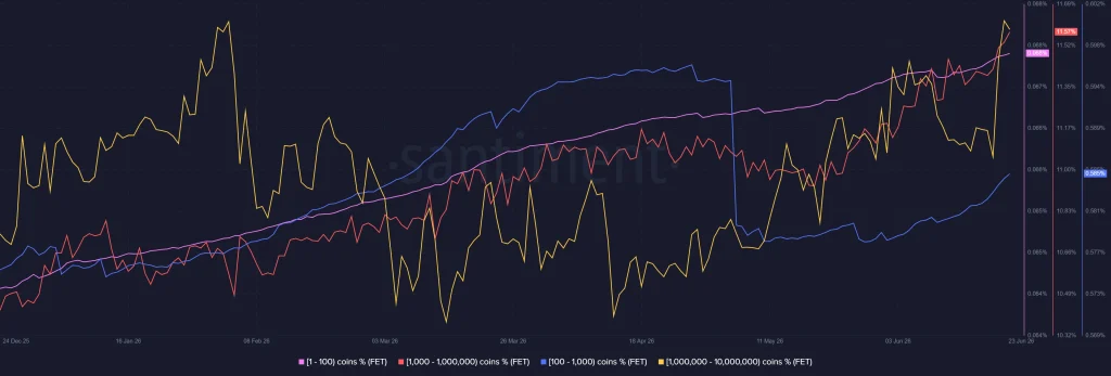 FET Onchain Analysis 2026