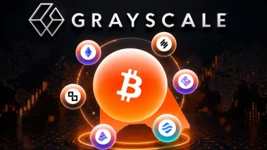 Grayscale report analyzing undervalued, top revenue-generating cryptocurrency protocols competing for market dominance.