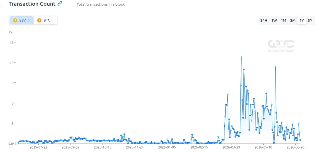 Bitcoin SV Onchain Analysis 2026