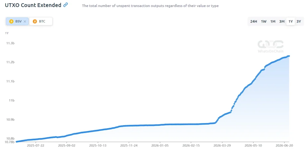 Bitcoin SV Onchain Analysis 2026