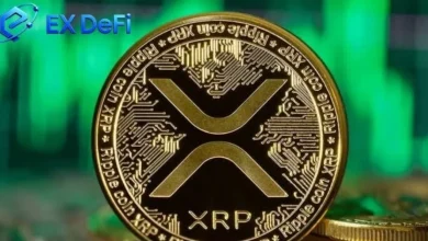 ex-defi