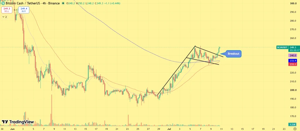 BCH price outlook