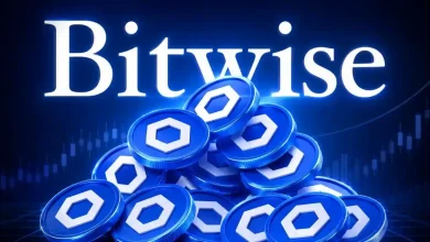 chainlink news bitwise buys more link as etf inflows return