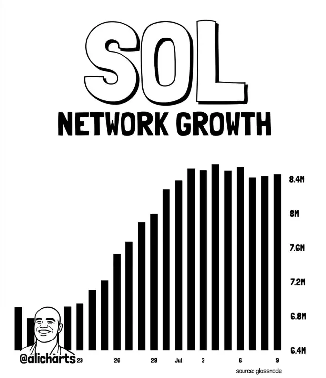 SOL network activity