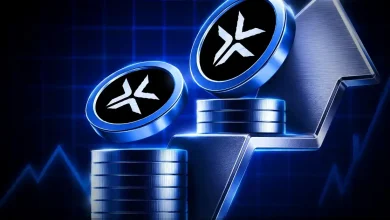 Blue DeXe Network coins stacked on a rising metal arrow chart.