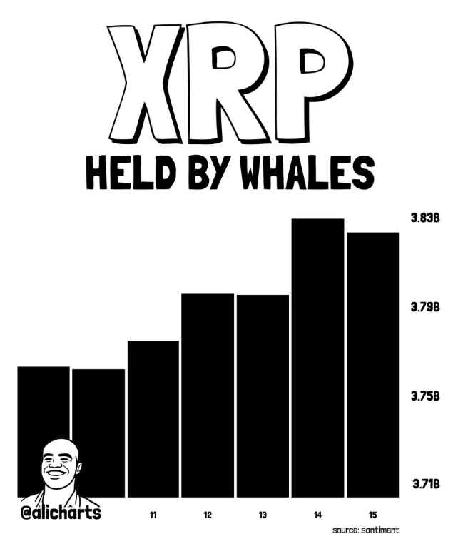 XRP whales data