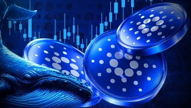 Blue whale swimming next to Cardano ADA tokens.