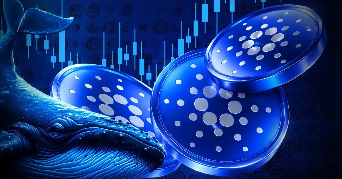 Blue whale swimming next to Cardano ADA tokens.