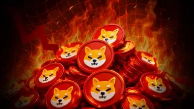 can shiba inu price recover as shib burn rate surges