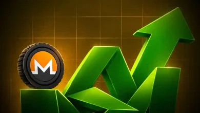 monero price jumps 10% is the privacy coin rally back
