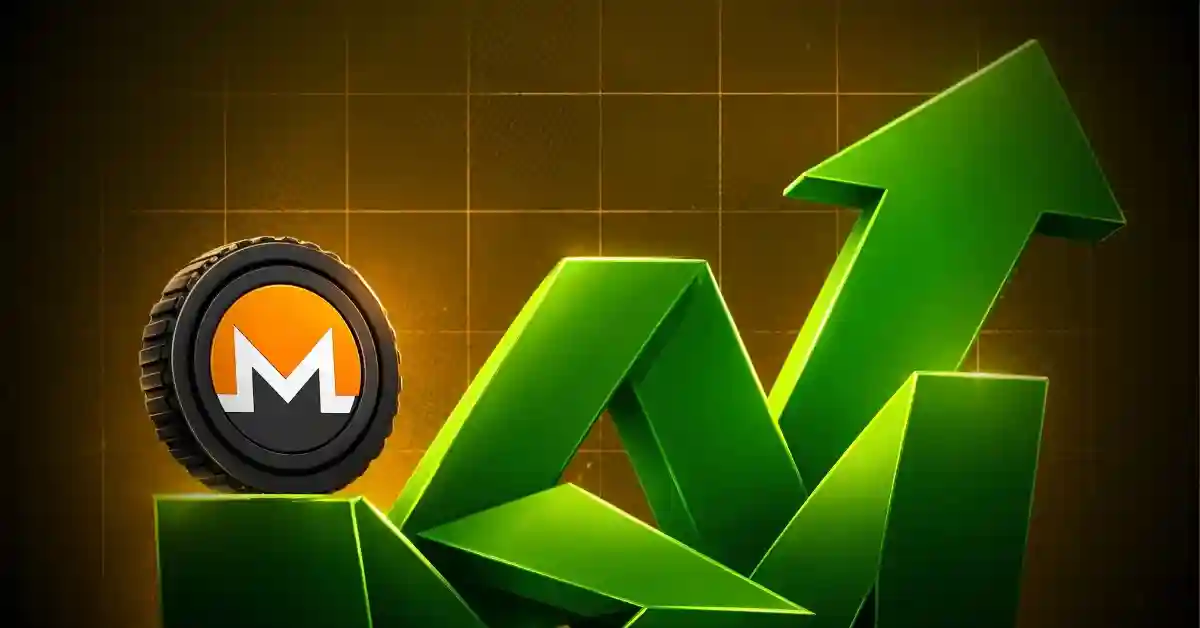 monero price jumps 10% is the privacy coin rally back