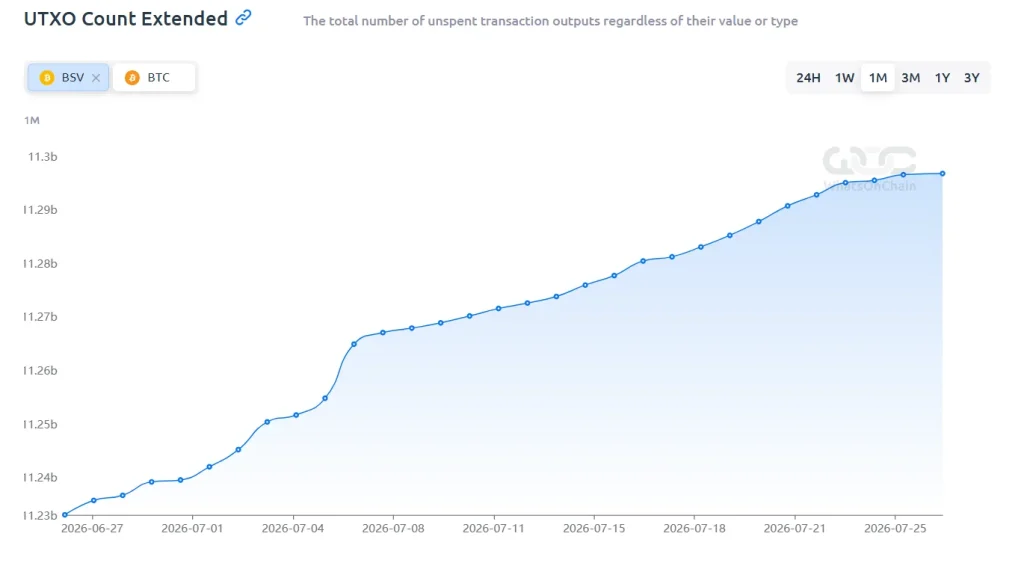 Bitcoin SV Onchain Analysis 2026