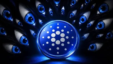 why everyone is watching cardano price today