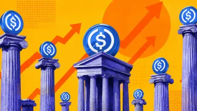 USDC coins resting on classic pillars with upward growth arrows.