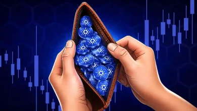 cardano price surges 6 percent can whale accumulation push ada to 0.30 dollars