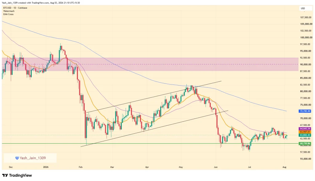 Bitcoin Whales Buy 19,610 BTC as Retail Sells After Coldcard Security Scare