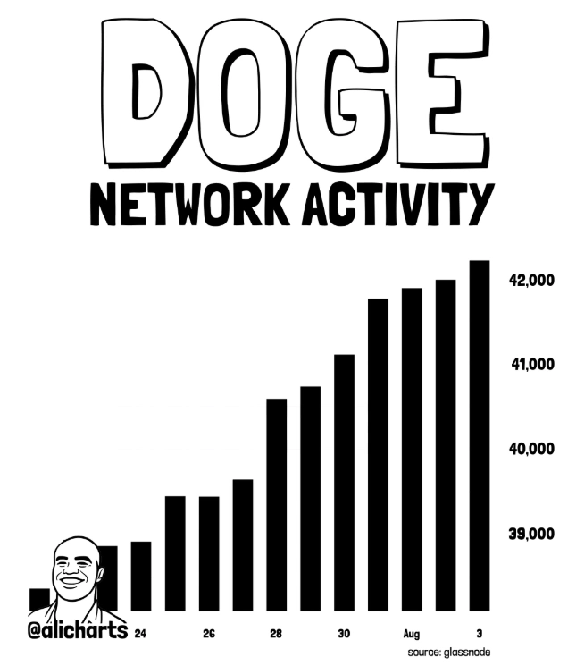 DOGE network activity
