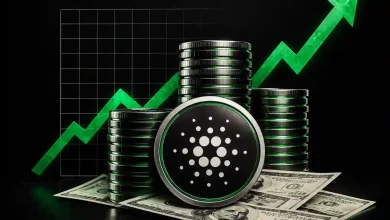 Why Cardano Price Is Rising Today