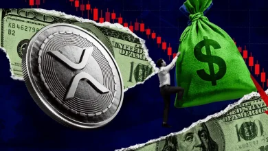 XRP coin and man climbing a money bag against a red chart.